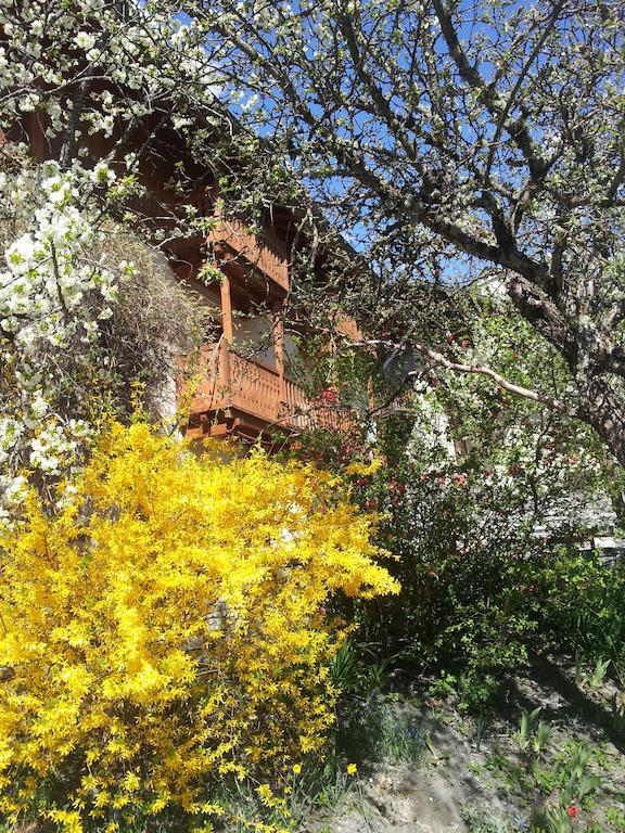 Chalet D'Heidi Bourg-Saint-Maurice Dış mekan fotoğraf